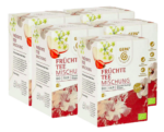 Bio Fruit-Tea (5x20 bags)